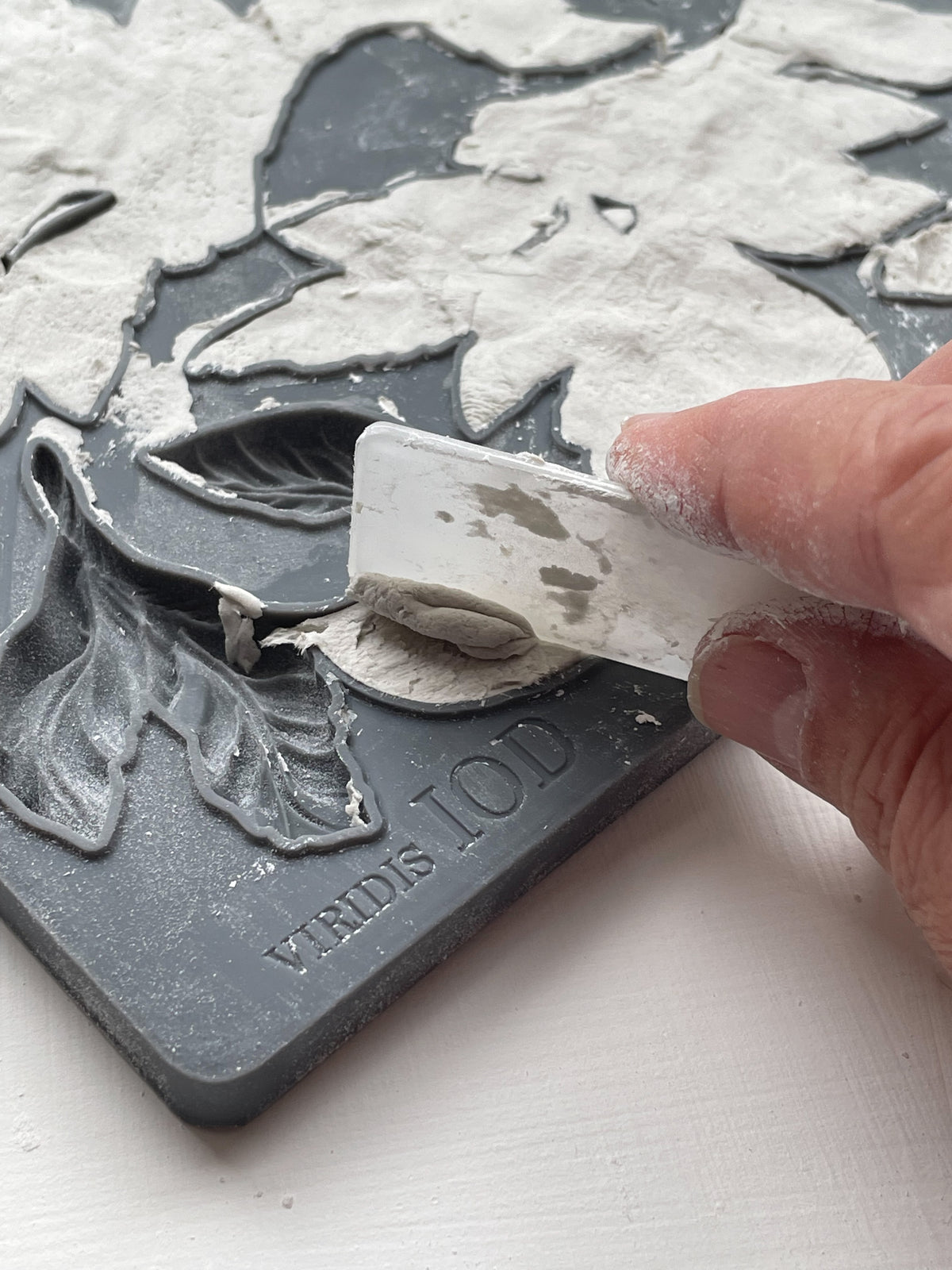 Iron Orchid Designs - Decor Mould - Viridis