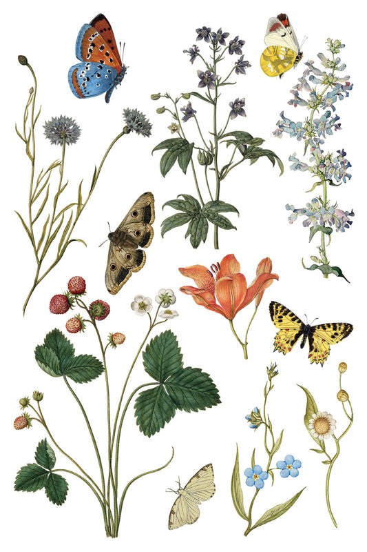 Iron Orchid Designs - Decor Transfer - Wilde Bloemen