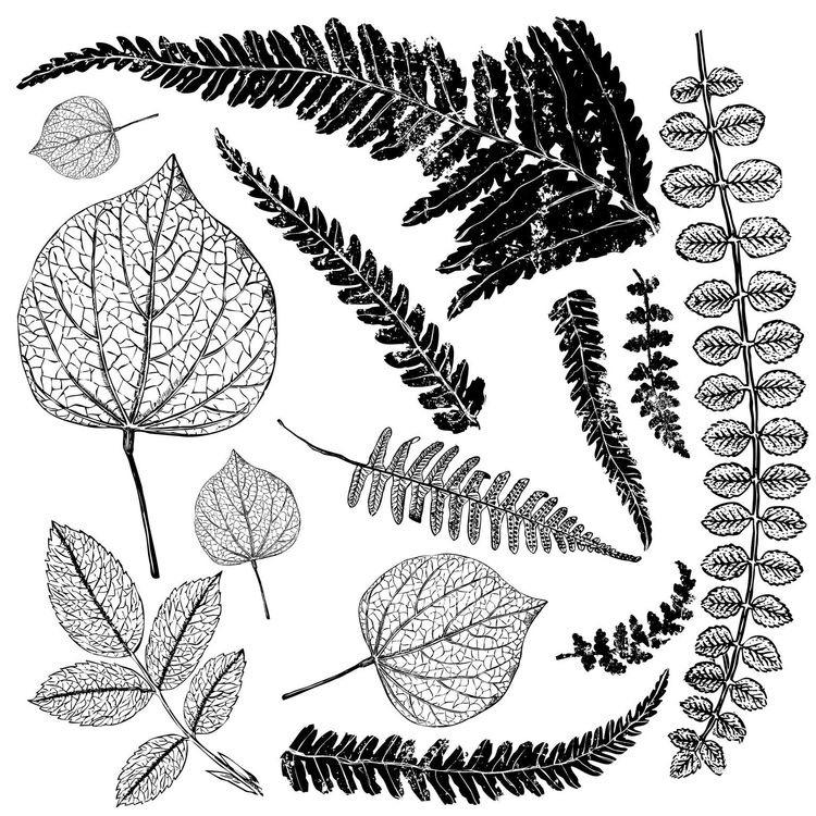 Iron Orchid Designs - Fronds Stamp - Rustic River Home