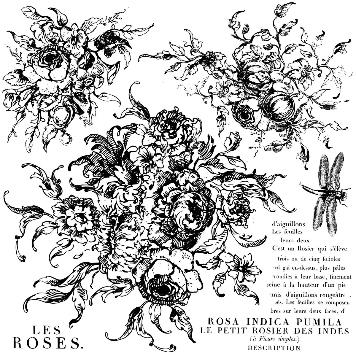 Iron Orchid Designs - Rose Toille Stamp - Rustic River Home