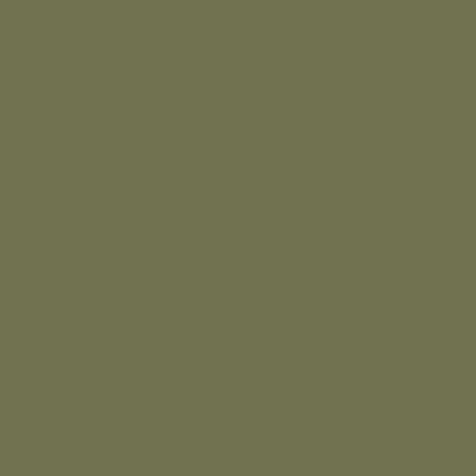 Pentart Dekor Chalk Paint - Thorn - 230ml - Rustic River Home