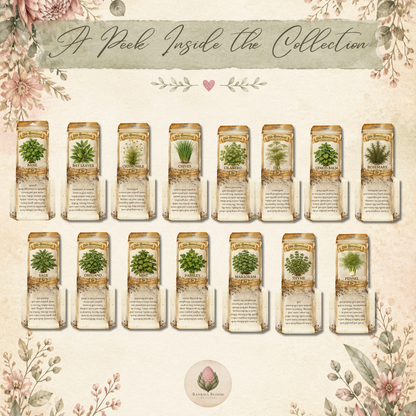BBD Printable - Vintage Herbs Seed Packets