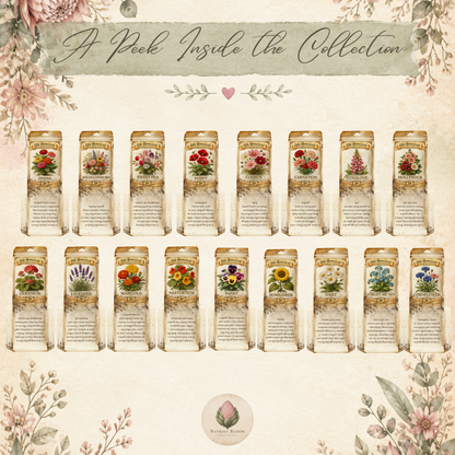 BBD Printable - Vintage Flower Seed Packets