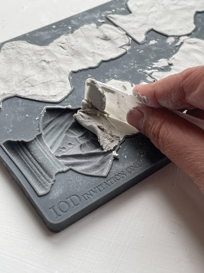 Iron Orchid Designs - Decor Mould - Invitation Only