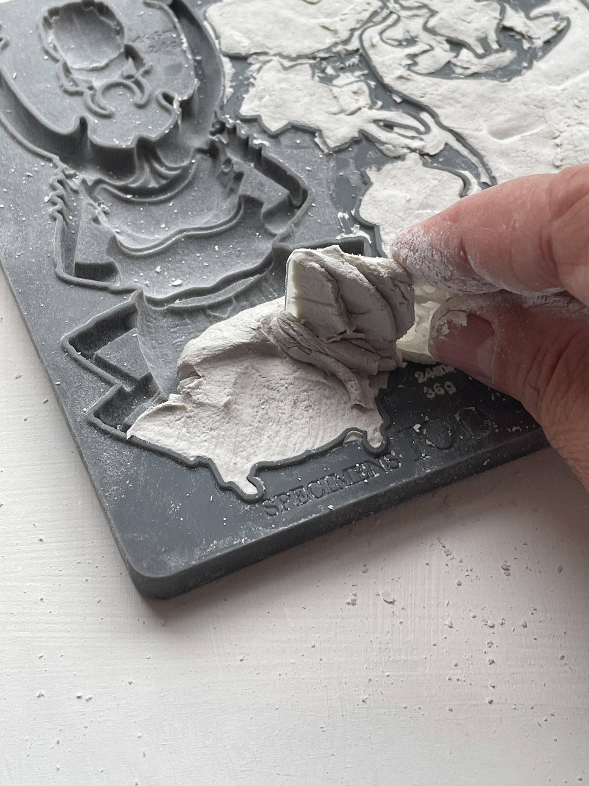 Iron Orchid Designs - Decor Mould - Specimens