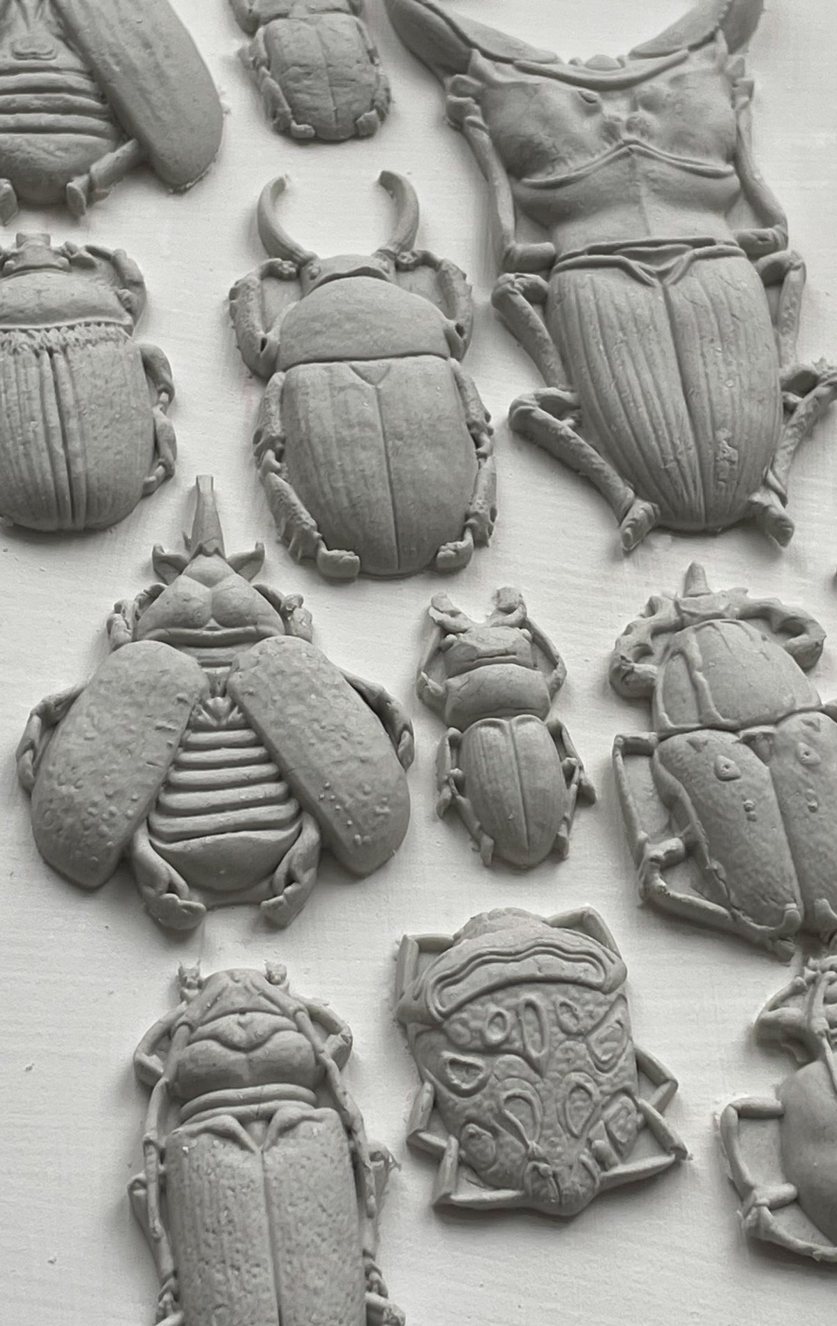 Iron Orchid Designs - Decor Mould - Specimens