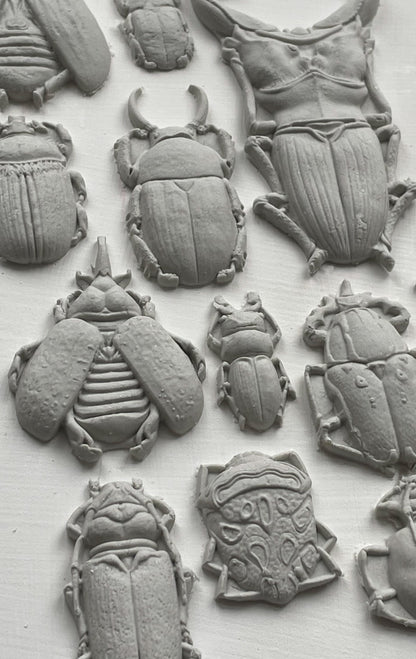 Iron Orchid Designs - Decor Mould - Specimens