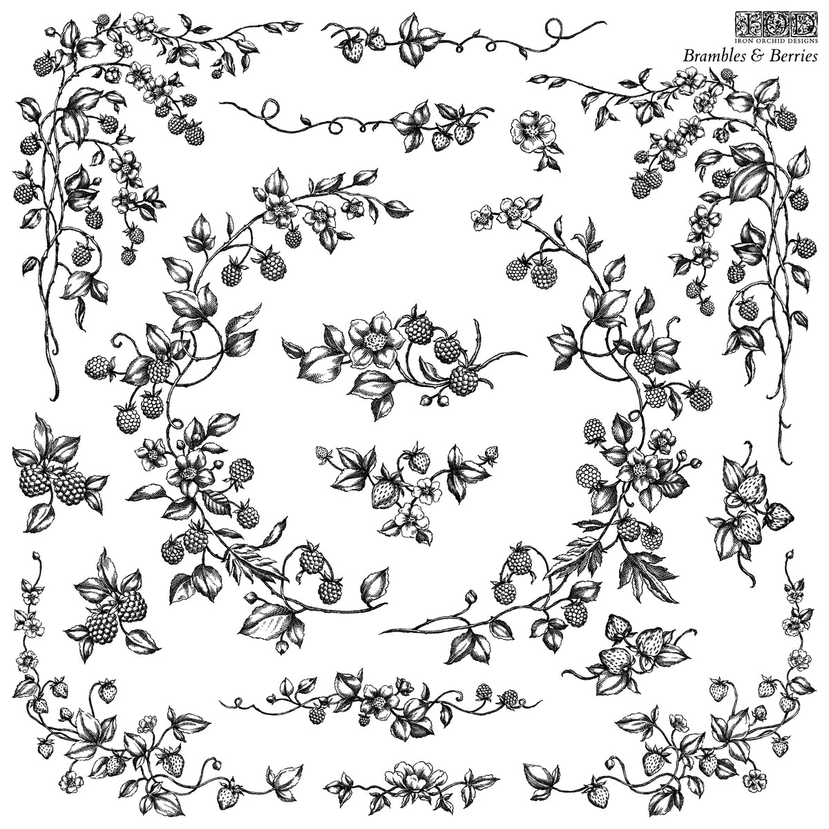 Iron Orchid Designs - Decor Stamp - Brambles & Berries