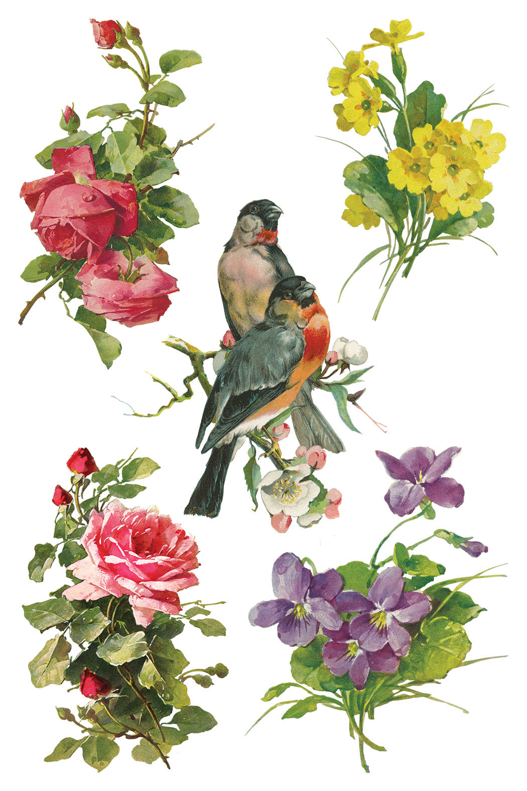 Iron Orchid Designs - Decor Transfer - Catharina