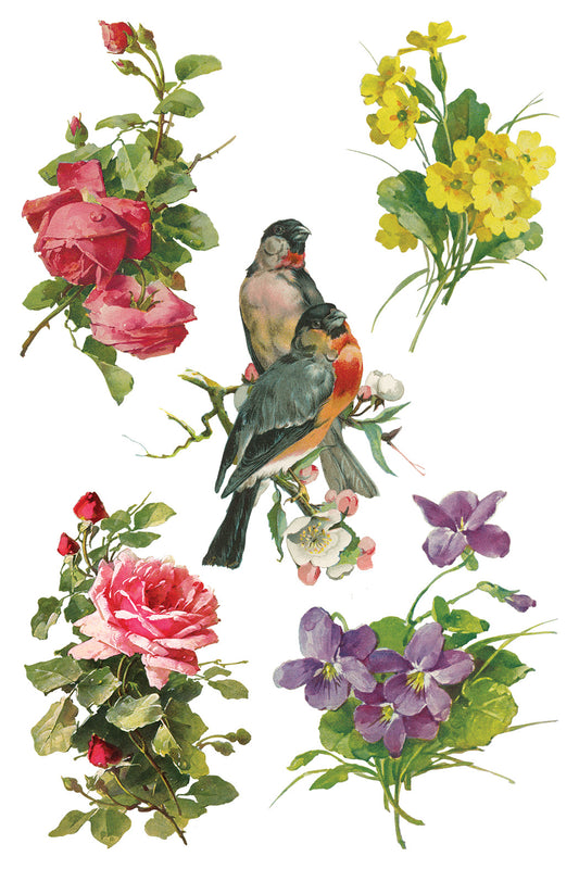 Iron Orchid Designs - Decor Transfer - Catharina