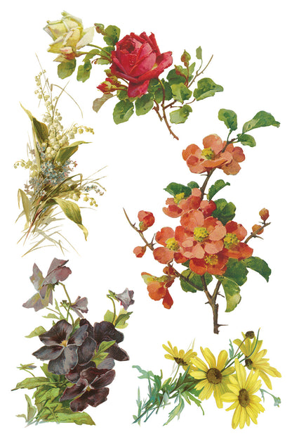 Iron Orchid Designs - Decor Transfer - Catharina