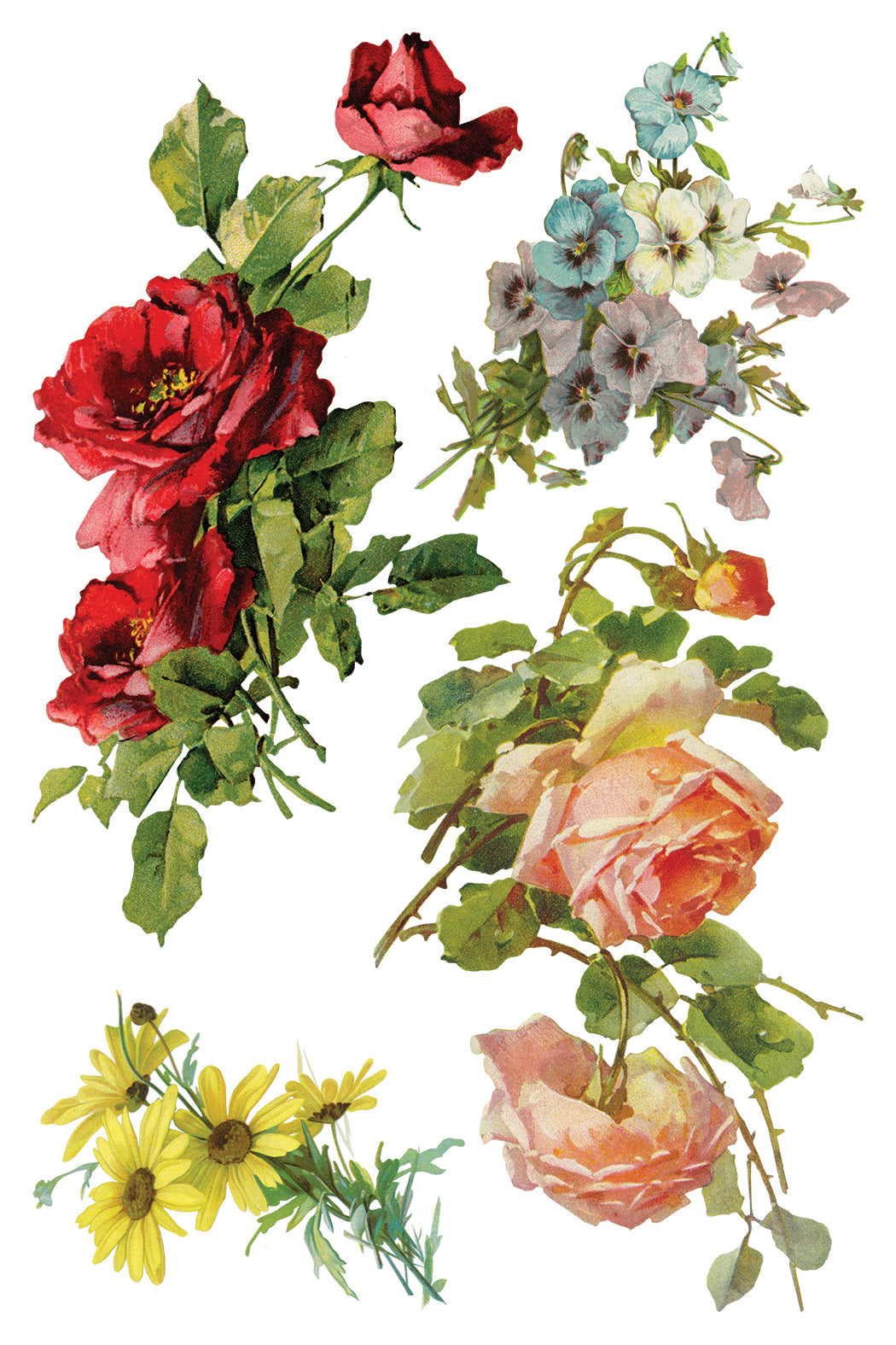 Iron Orchid Designs - Decor Transfer - Catharina