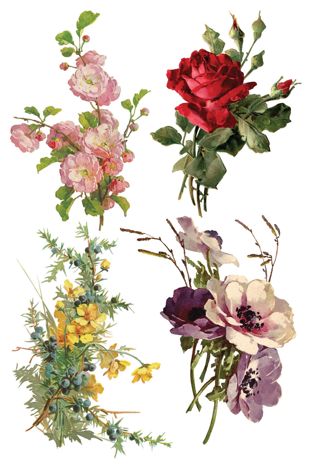 Iron Orchid Designs - Decor Transfer - Catharina