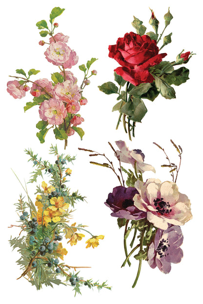 Iron Orchid Designs - Decor Transfer - Catharina