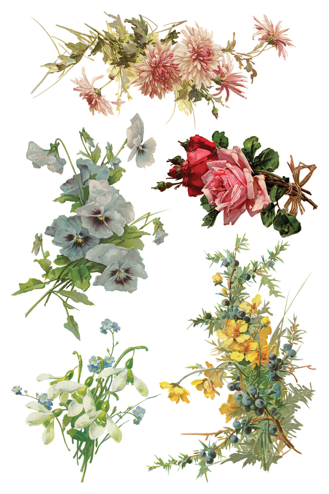 Iron Orchid Designs - Decor Transfer - Catharina