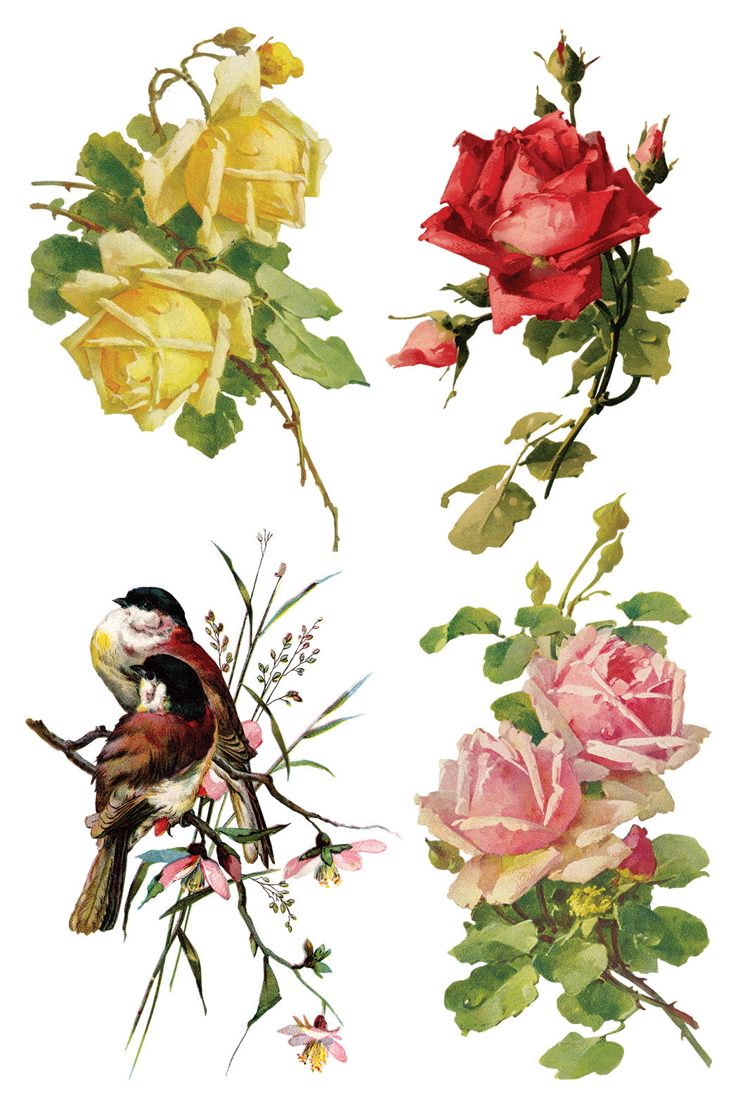 Iron Orchid Designs - Decor Transfer - Catharina