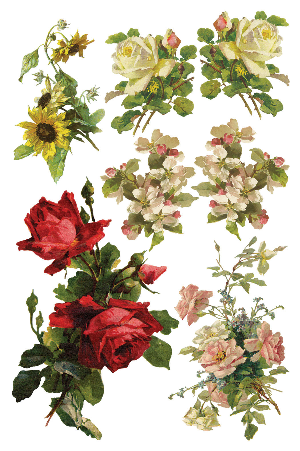 Iron Orchid Designs - Decor Transfer - Catharina