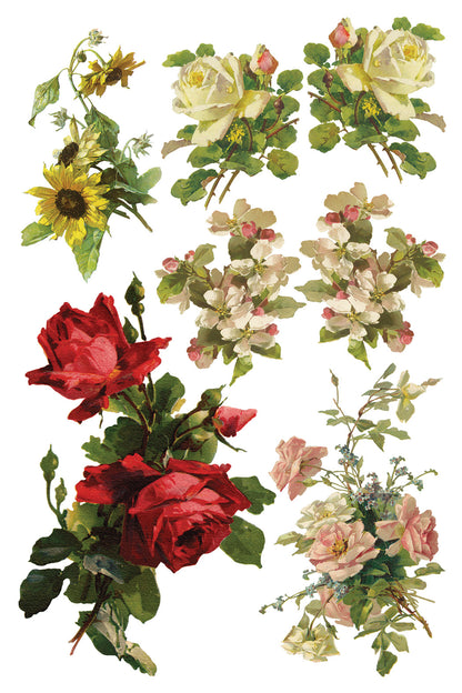 Iron Orchid Designs - Decor Transfer - Catharina