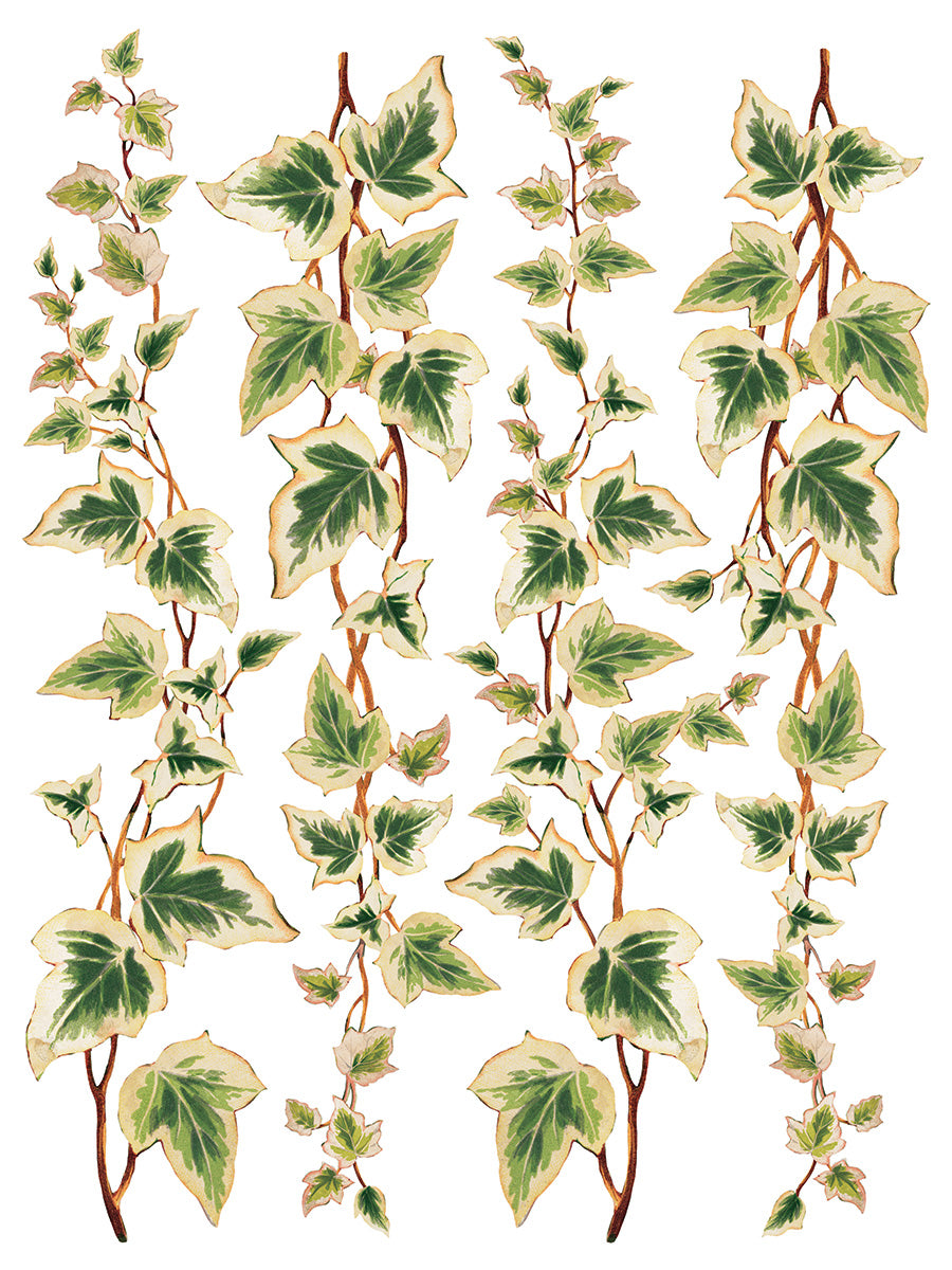 Iron Orchid Designs - Decor Transfer - Collage De Fleurs