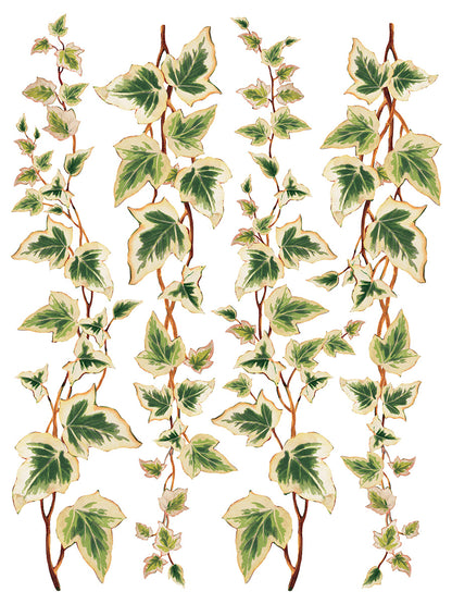 Iron Orchid Designs - Decor Transfer - Collage De Fleurs