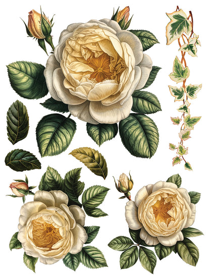 Iron Orchid Designs - Decor Transfer - Collage De Fleurs