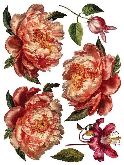 Iron Orchid Designs - Decor Transfer - Collage De Fleurs