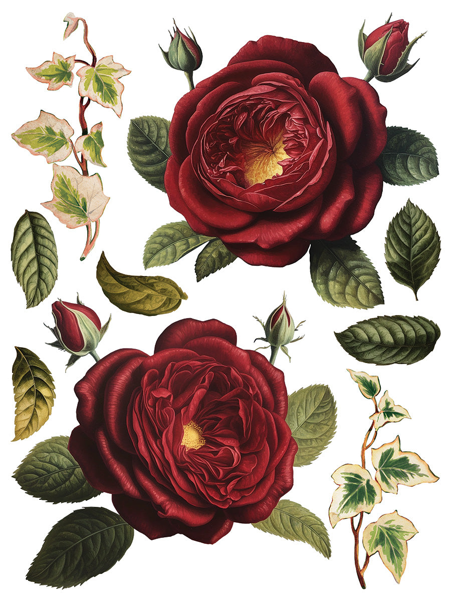 Iron Orchid Designs - Decor Transfer - Collage De Fleurs