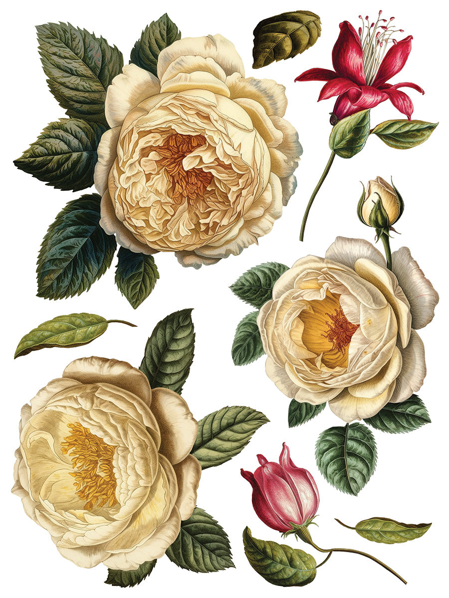 Iron Orchid Designs - Decor Transfer - Collage De Fleurs