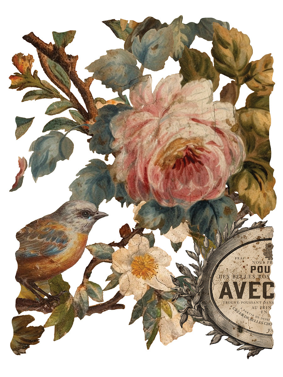 Iron Orchid Designs - Decor Transfer - Joie Des Roses
