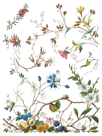 Iron Orchid Designs - Decor Transfer - Lost Garden