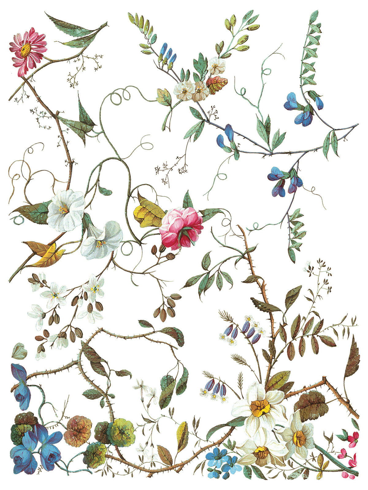 Iron Orchid Designs - Decor Transfer - Lost Garden