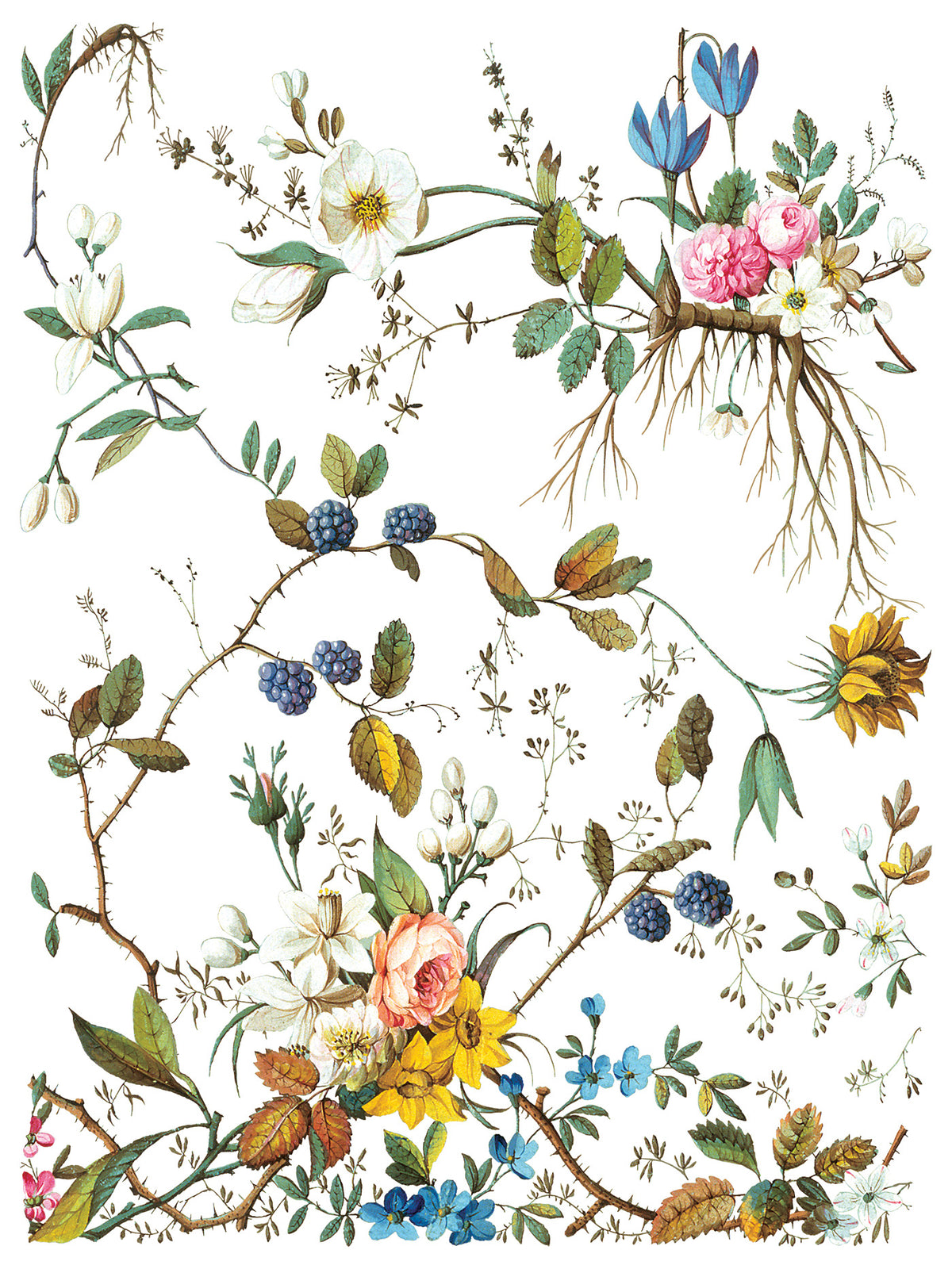 Iron Orchid Designs - Decor Transfer - Lost Garden