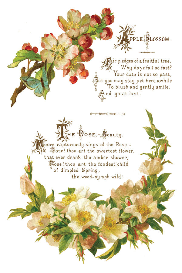 Iron Orchid Designs - Decor Transfer - Lover of Flowers