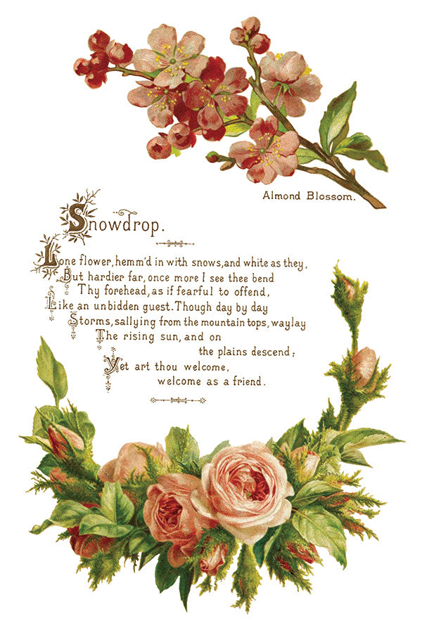 Iron Orchid Designs - Decor Transfer - Lover of Flowers
