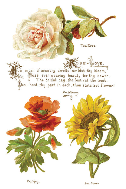 Iron Orchid Designs - Decor Transfer - Lover of Flowers