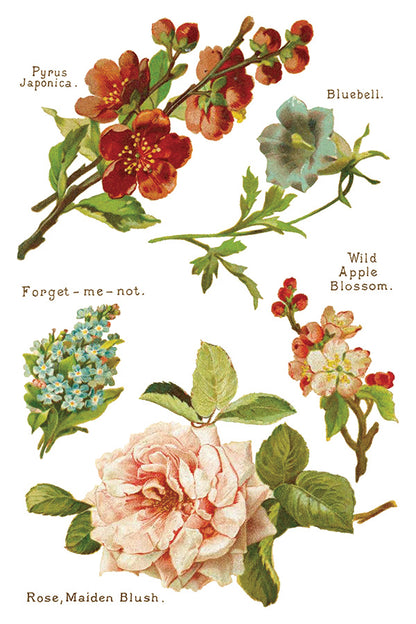 Iron Orchid Designs - Decor Transfer - Lover of Flowers