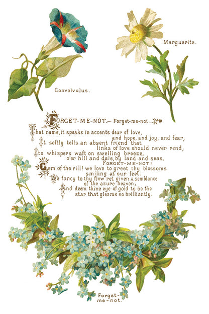 Iron Orchid Designs - Decor Transfer - Lover of Flowers