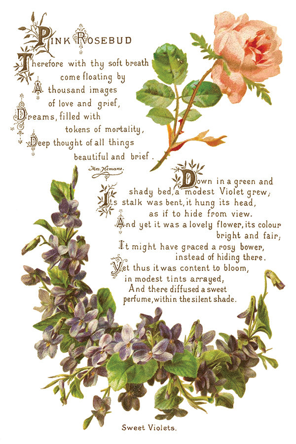 Iron Orchid Designs - Decor Transfer - Lover of Flowers