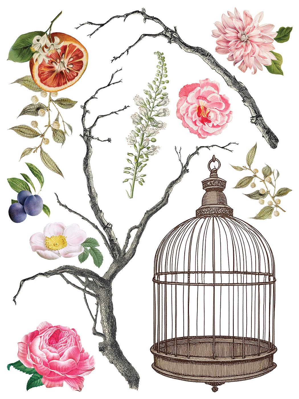 Iron Orchid Designs - Decor Transfer - Menagerie