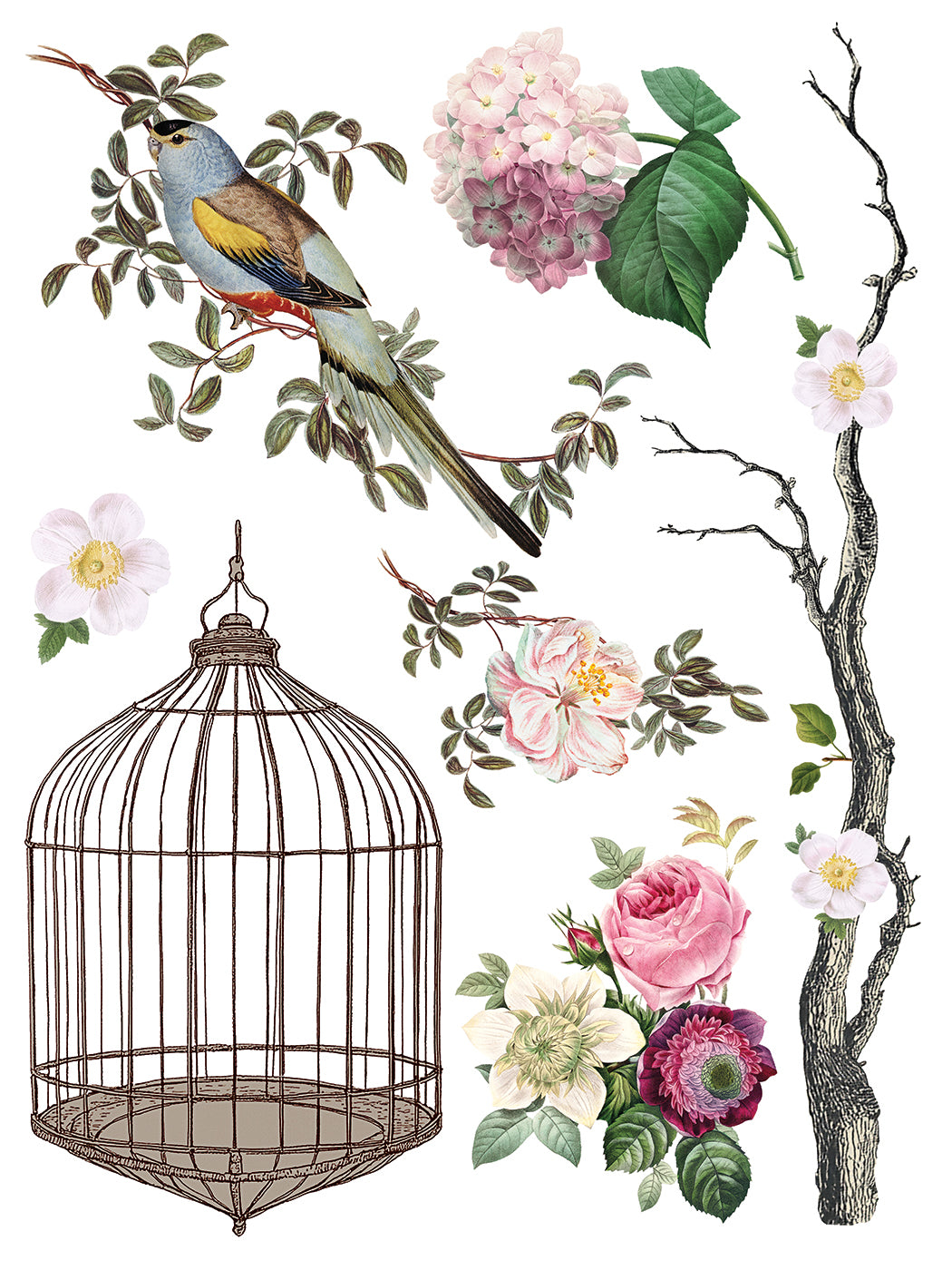 Iron Orchid Designs - Decor Transfer - Menagerie