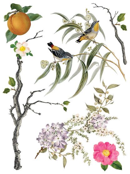 Iron Orchid Designs - Decor Transfer - Menagerie