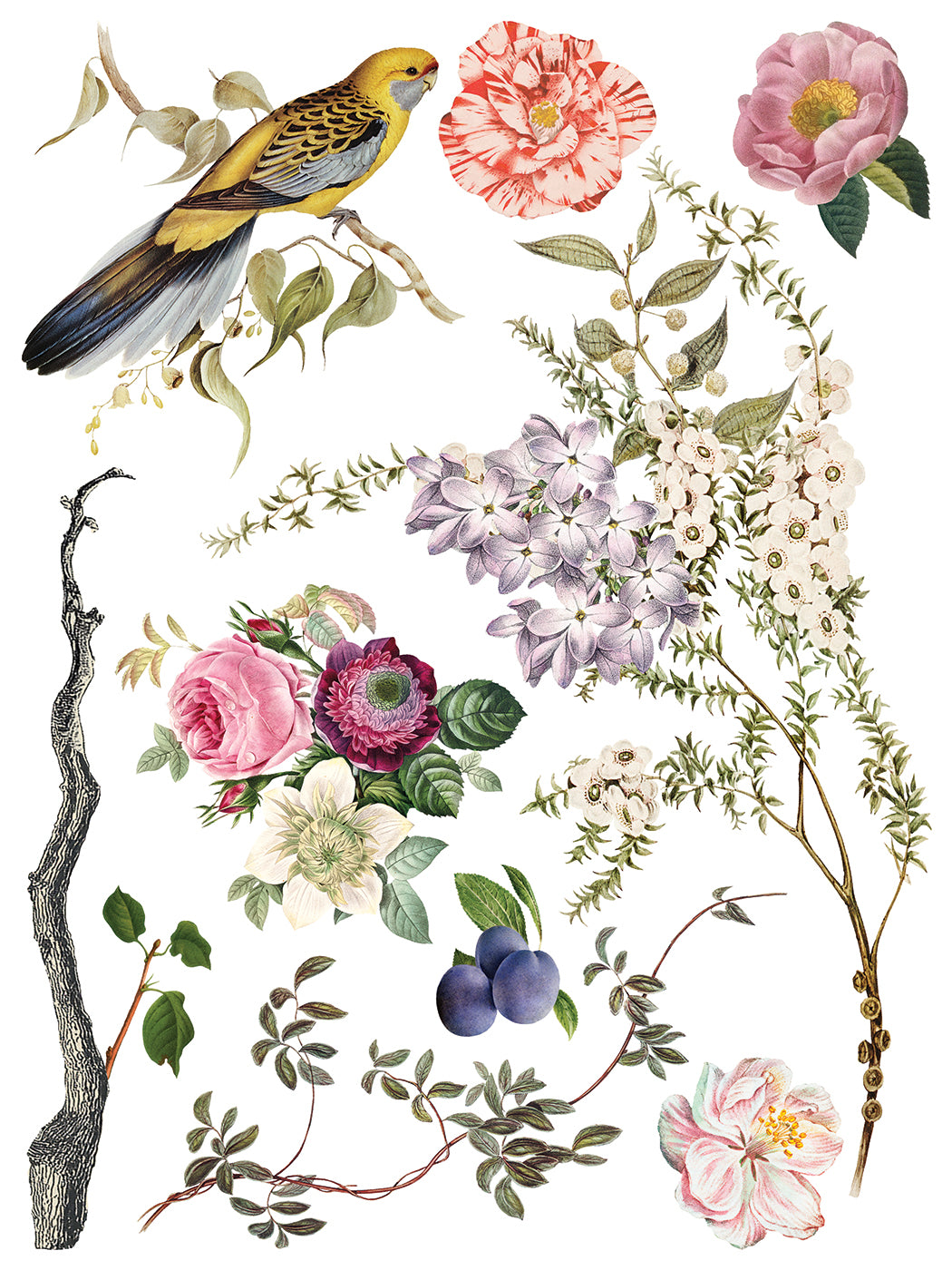 Iron Orchid Designs - Decor Transfer - Menagerie
