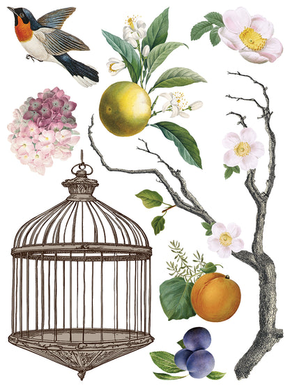 Iron Orchid Designs - Decor Transfer - Menagerie