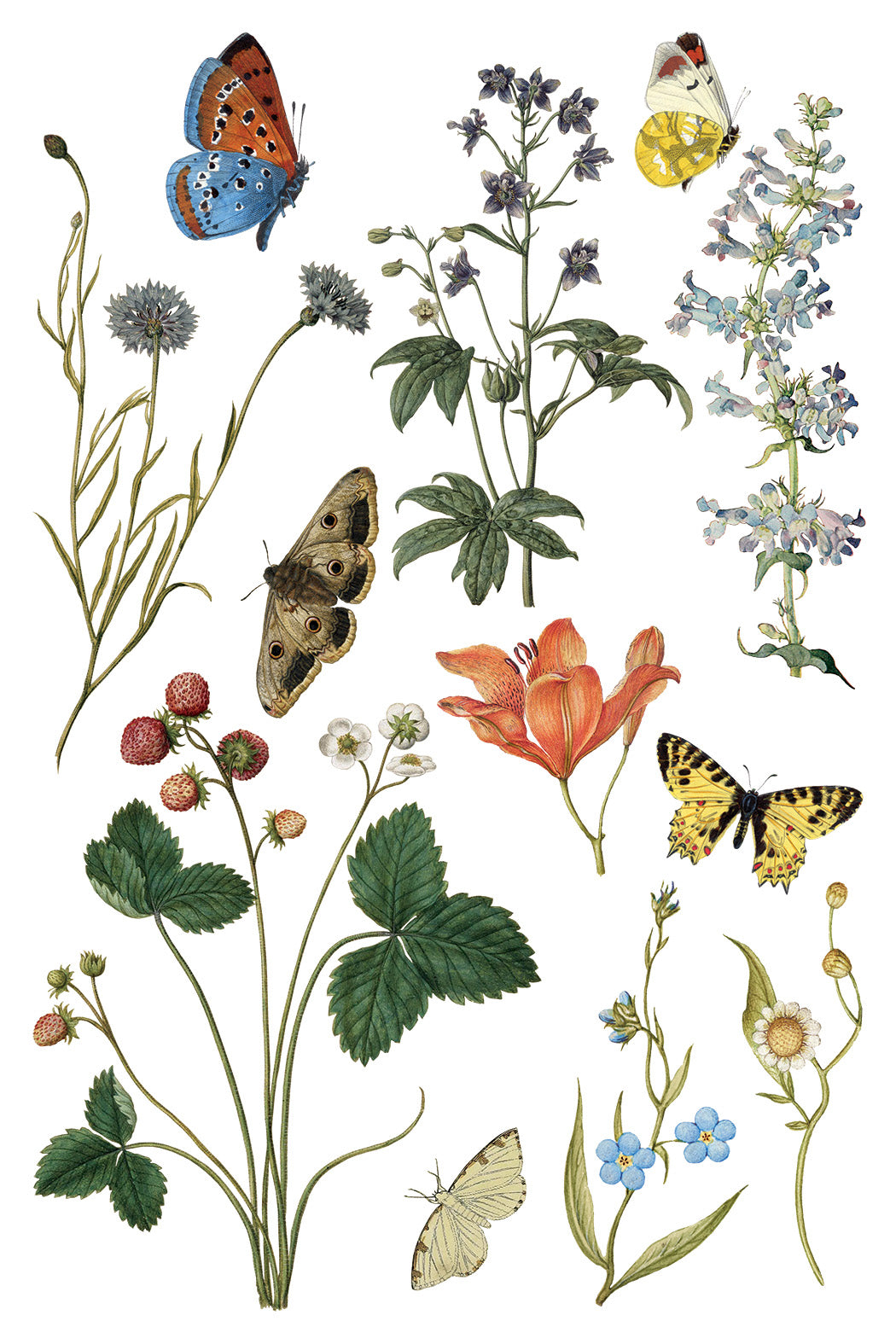 Iron Orchid Designs - Decor Transfer - Wilde Bloemen