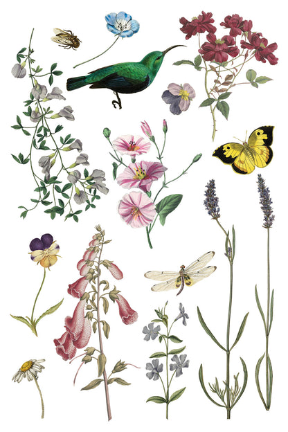 Iron Orchid Designs - Decor Transfer - Wilde Bloemen