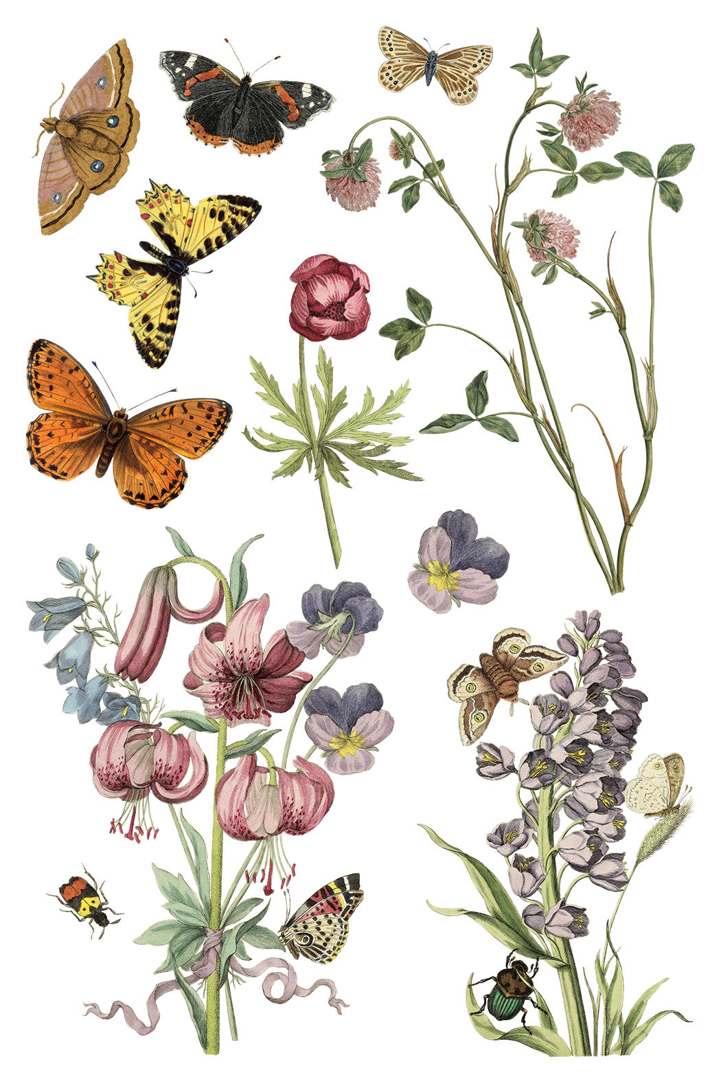 Iron Orchid Designs - Decor Transfer - Wilde Bloemen