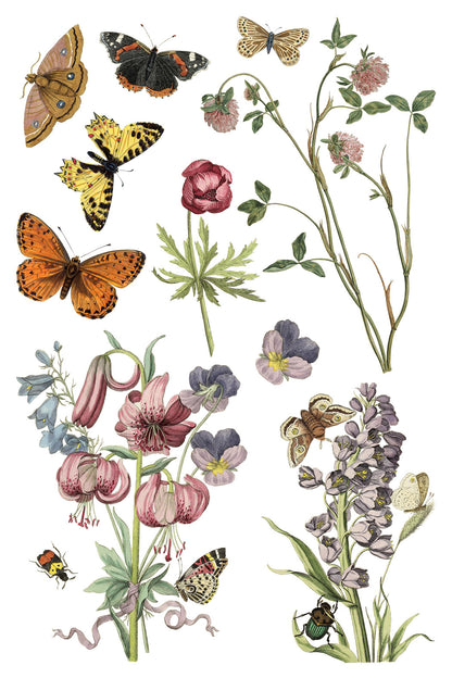 Iron Orchid Designs - Decor Transfer - Wilde Bloemen
