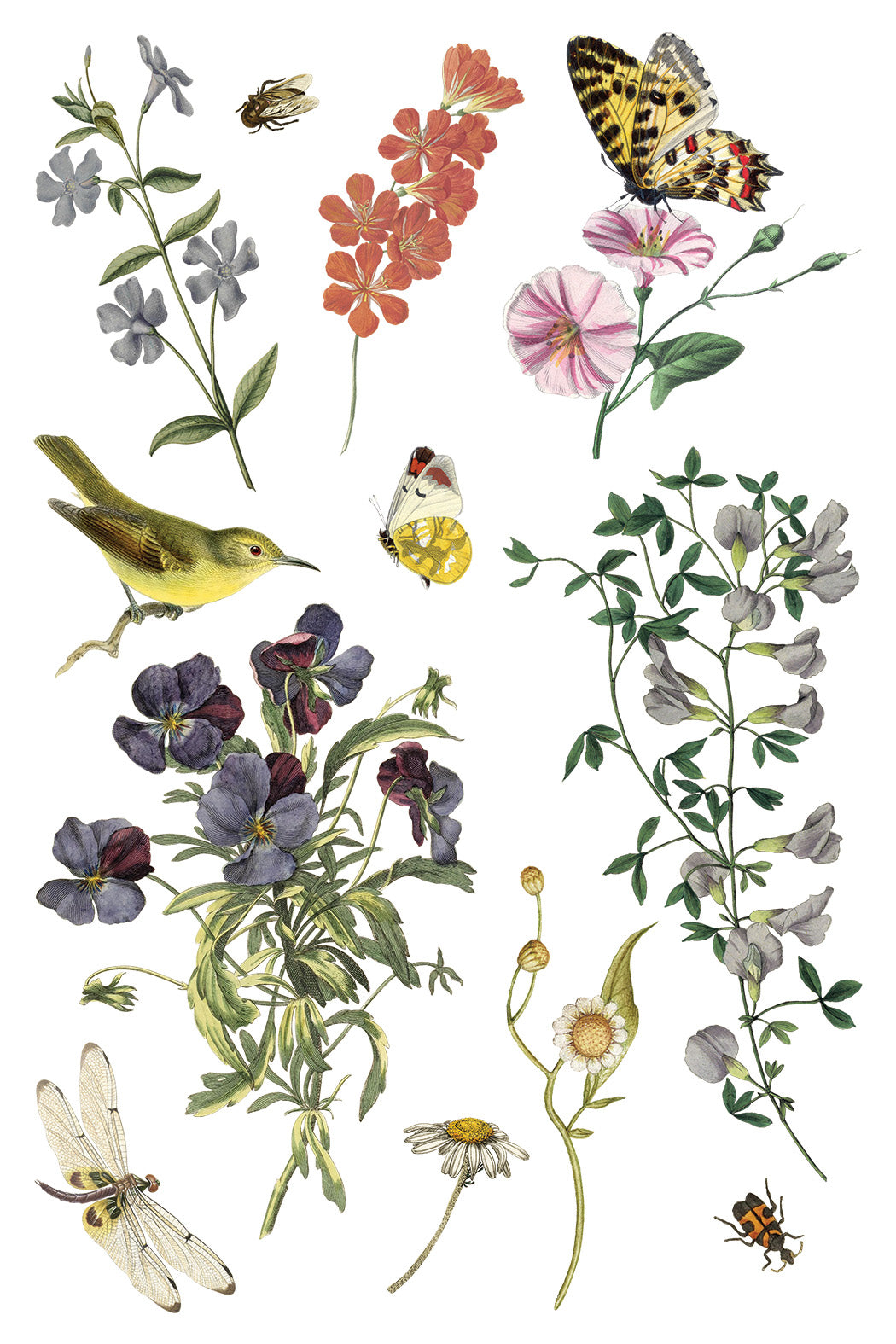 Iron Orchid Designs - Decor Transfer - Wilde Bloemen