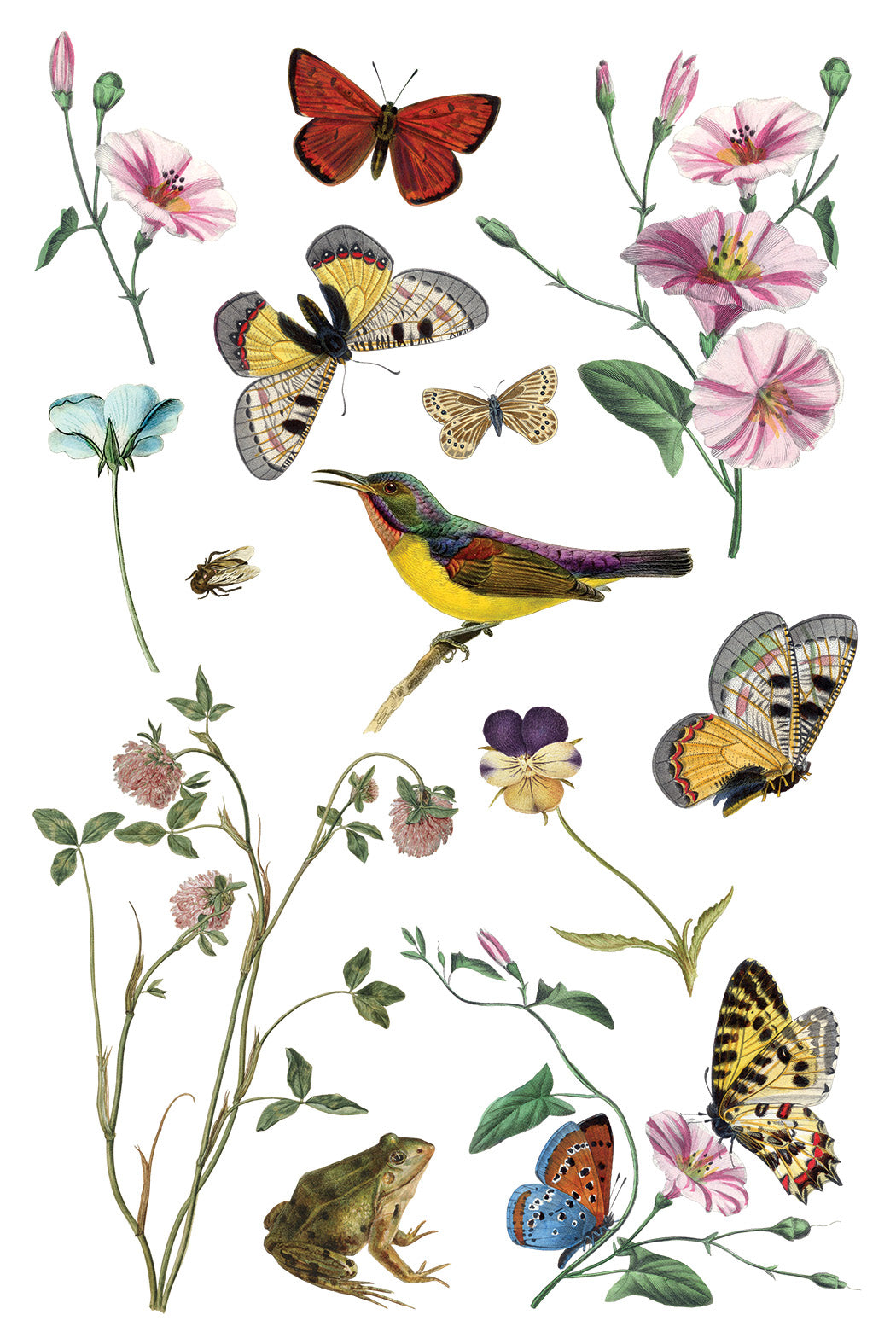 Iron Orchid Designs - Decor Transfer - Wilde Bloemen