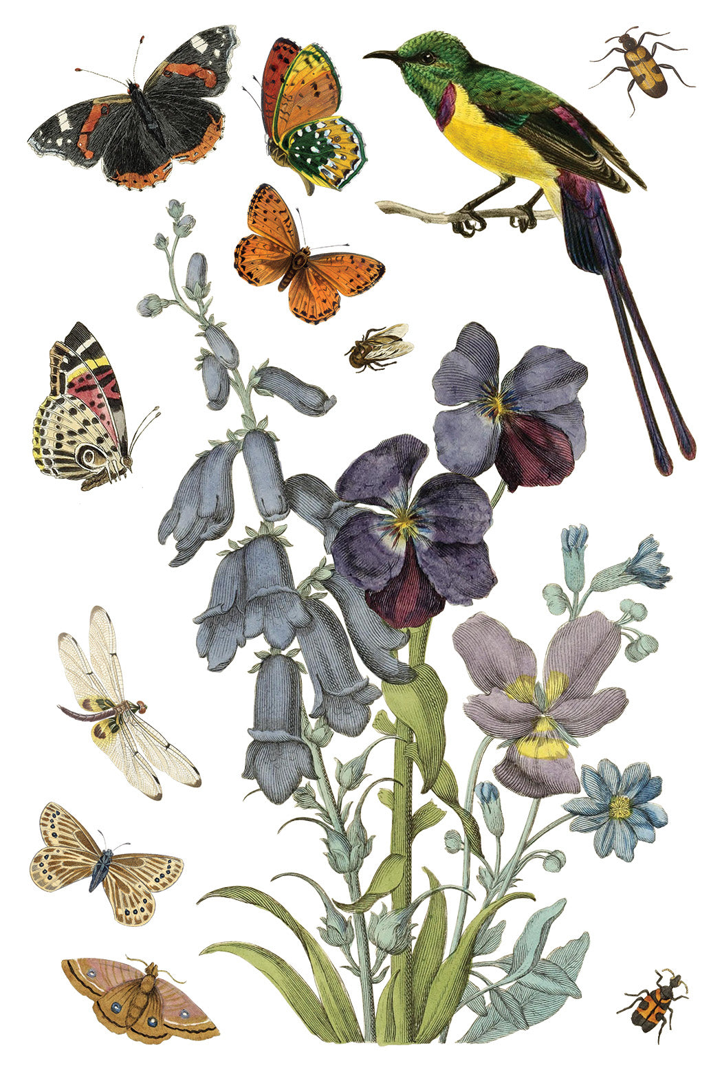 Iron Orchid Designs - Decor Transfer - Wilde Bloemen